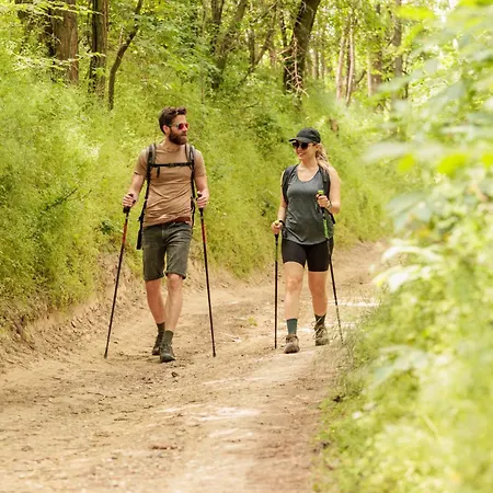 Naphegy Kucko דירה